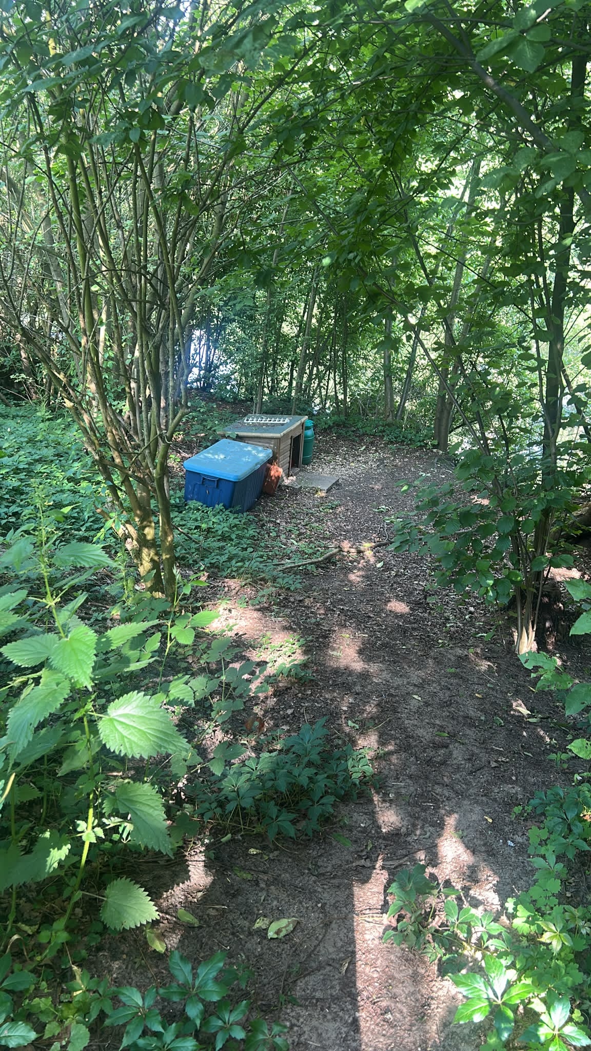 Angelsee am Campingplatz Wüllenheide